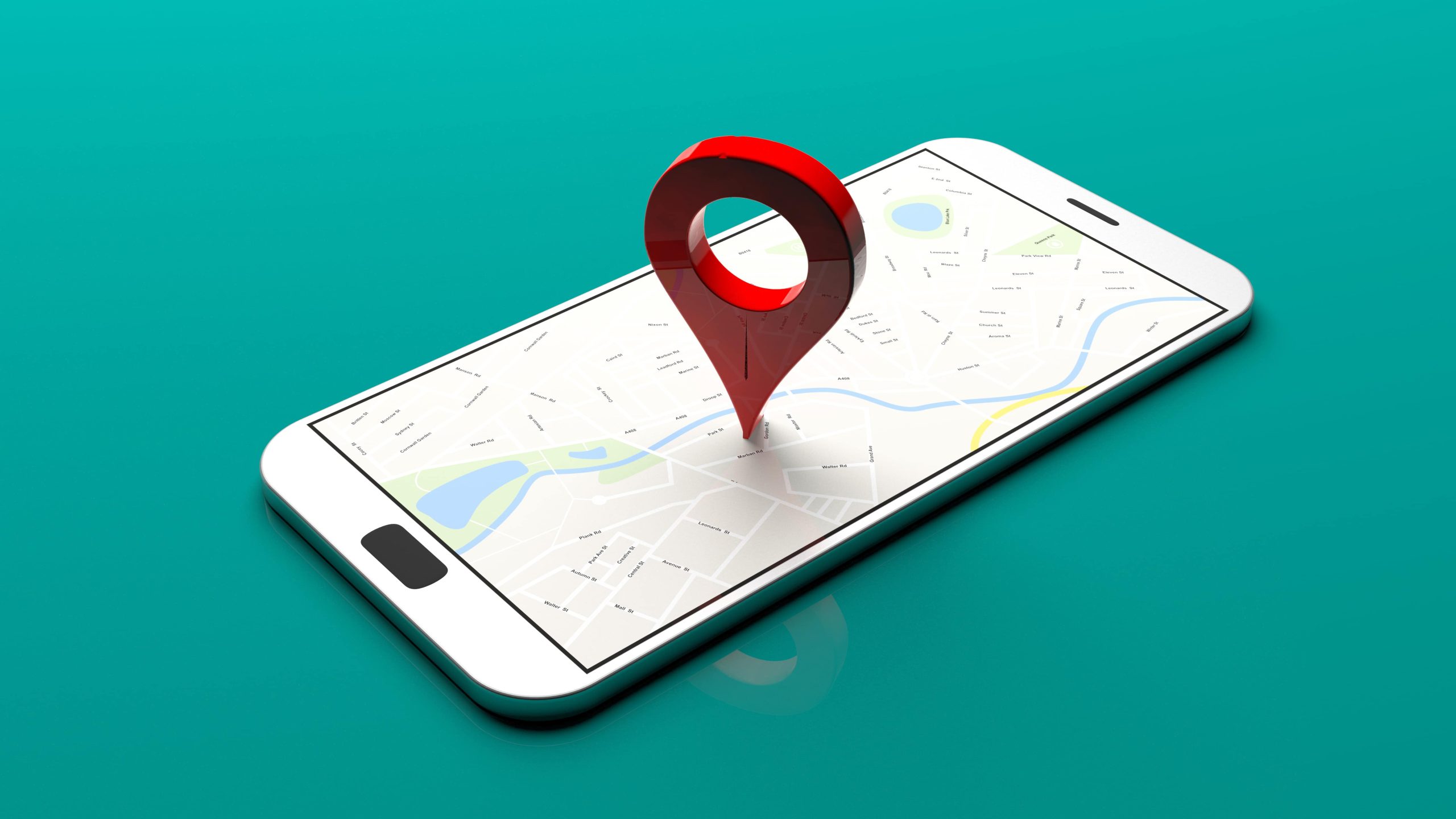 Local SEO results