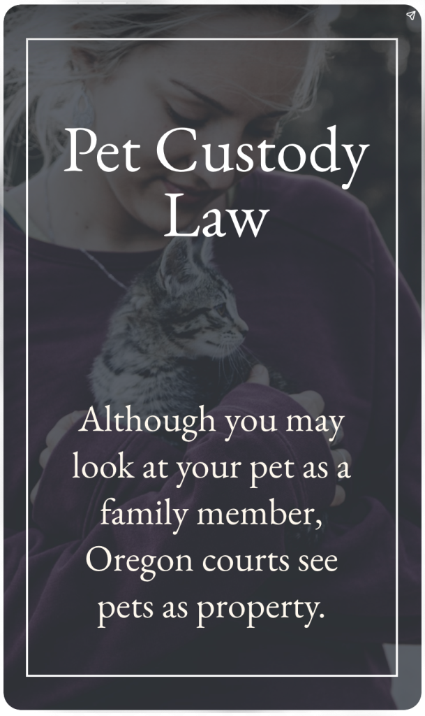 Web Story: Pet Custody in Oregon