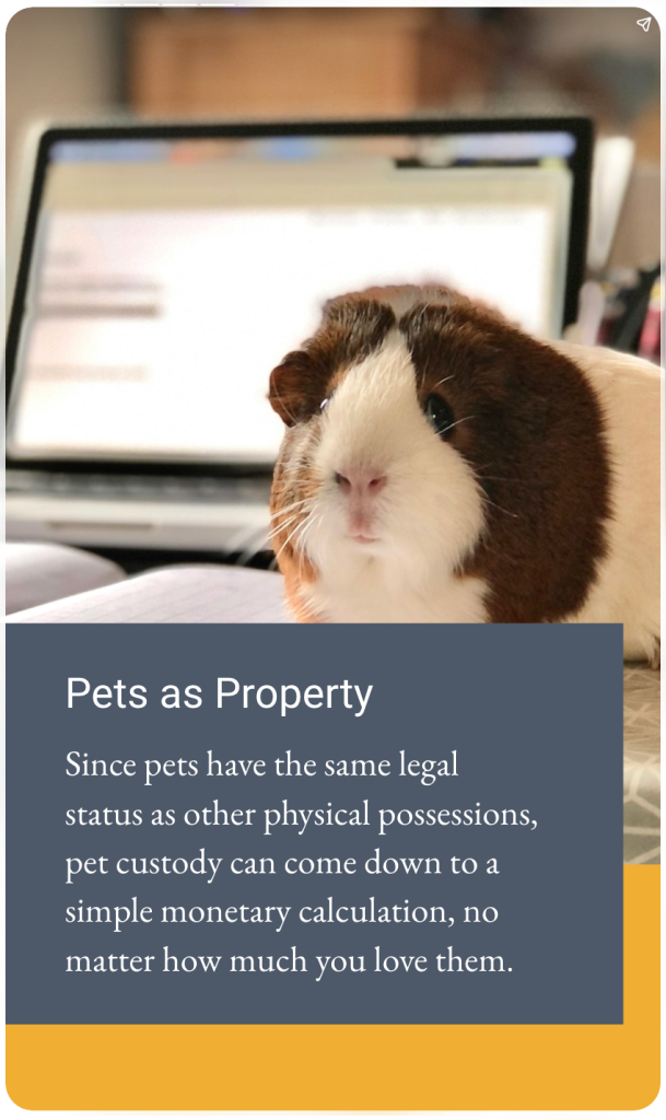 Web Story: Pet Custody in Oregon