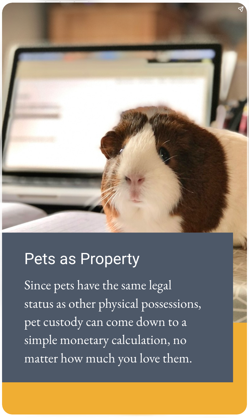 GRM-pet-custody-4