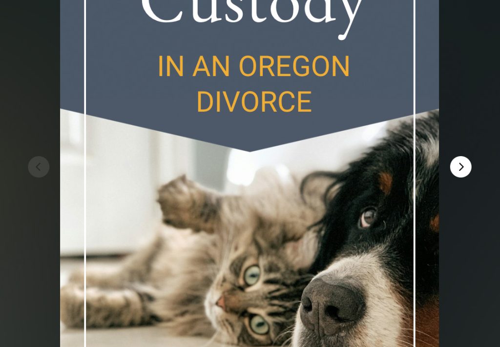 Web Story: Pet Custody in Oregon