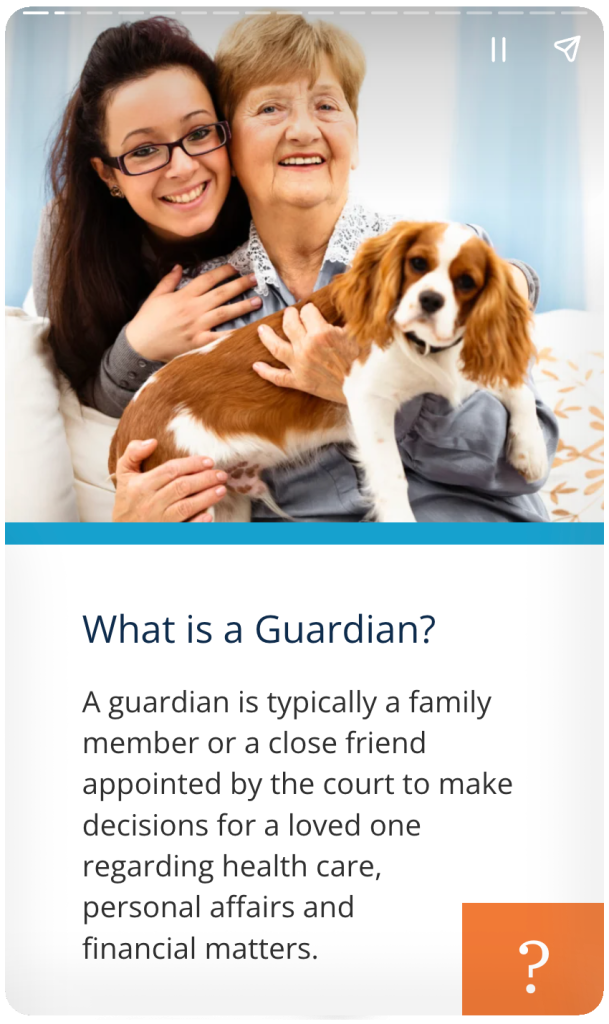 Web Story: Guardianship in New York