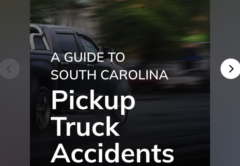 Steinberg pickup cover