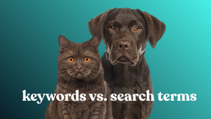 keywords vs search terms