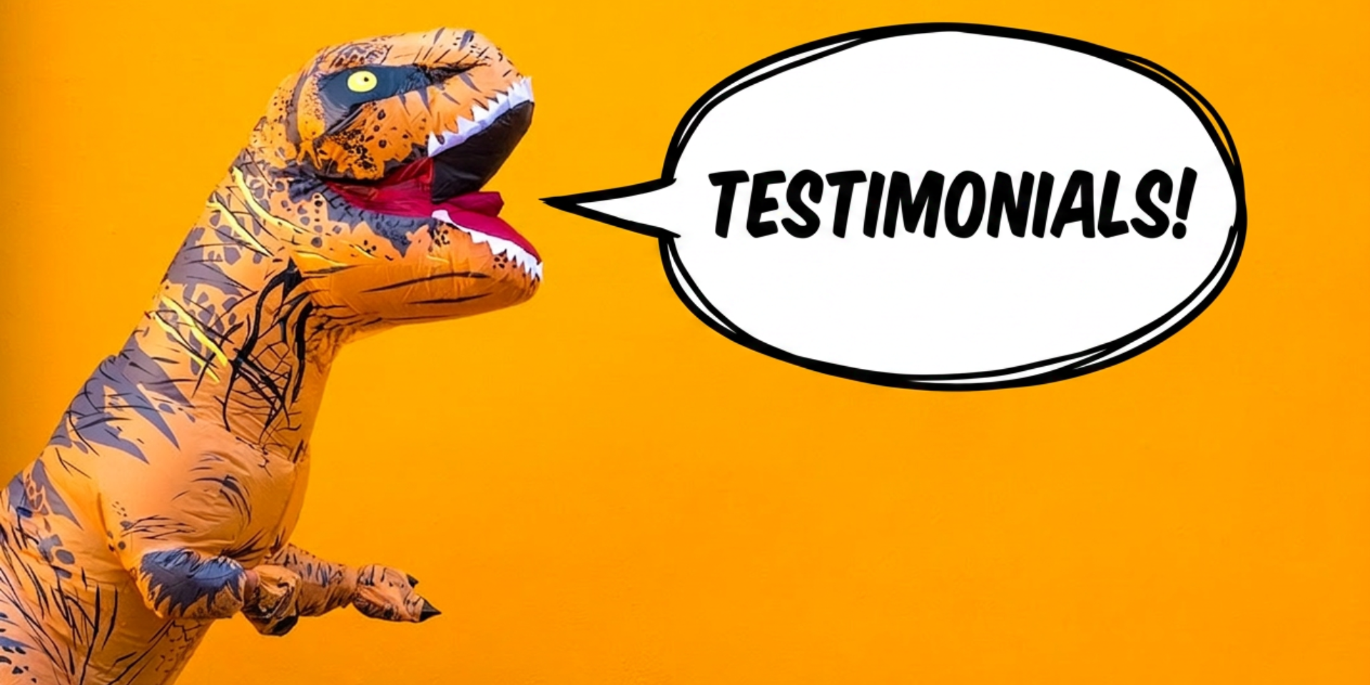 Donosaur Saying Testimonials