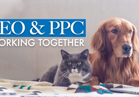 How to make SEO and PPC work together
